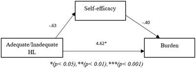 Health literacy, eHealth literacy and their association with burden, distress, and self-efficacy among cancer caregivers